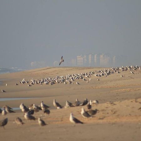 Sea & Beach Apartment Costa da Caparica Esterno foto